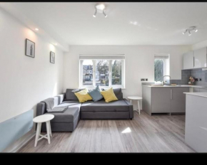 Elegant 1 Bed Flat in Tooting, London